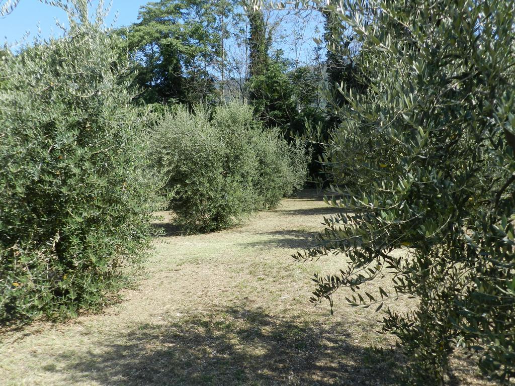 B&B Villa Maria Terni Oda fotoğraf