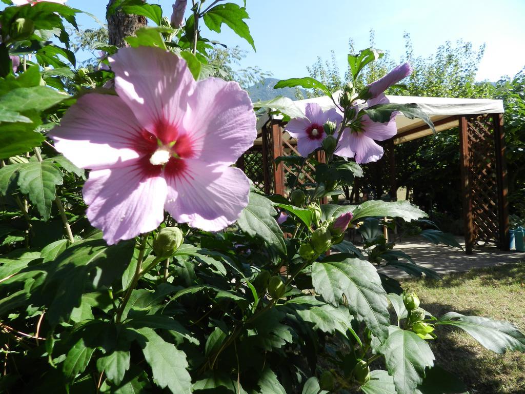 B&B Villa Maria Terni Dış mekan fotoğraf